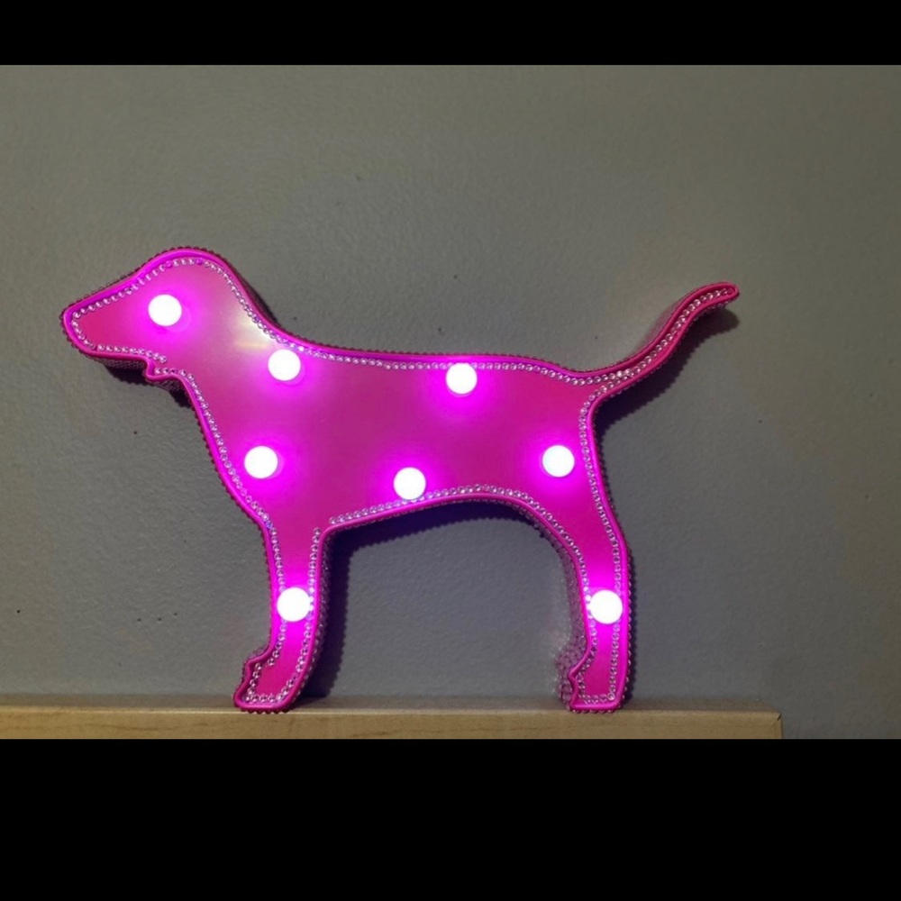 Pink Vs dog